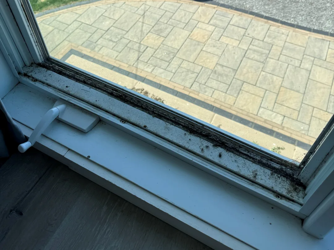 Window sill and track, before cleaning